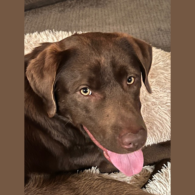 Photo of Max