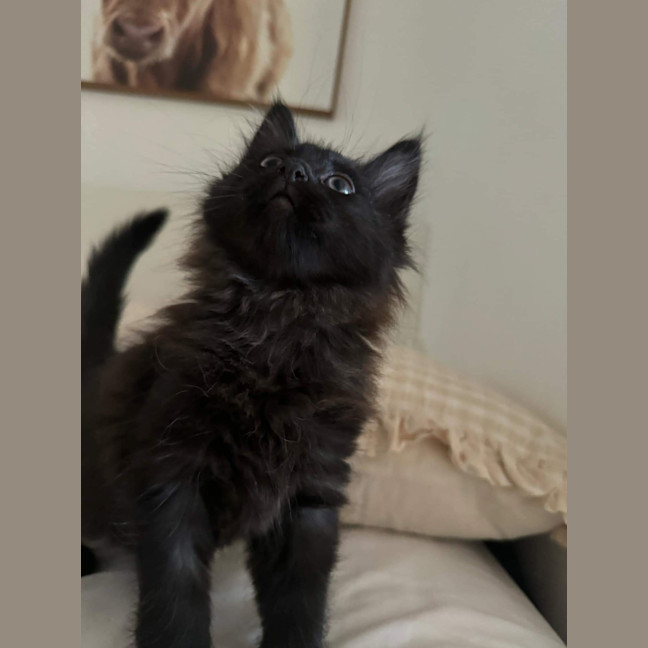 Photo of Tali