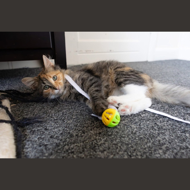 Photo of Marble