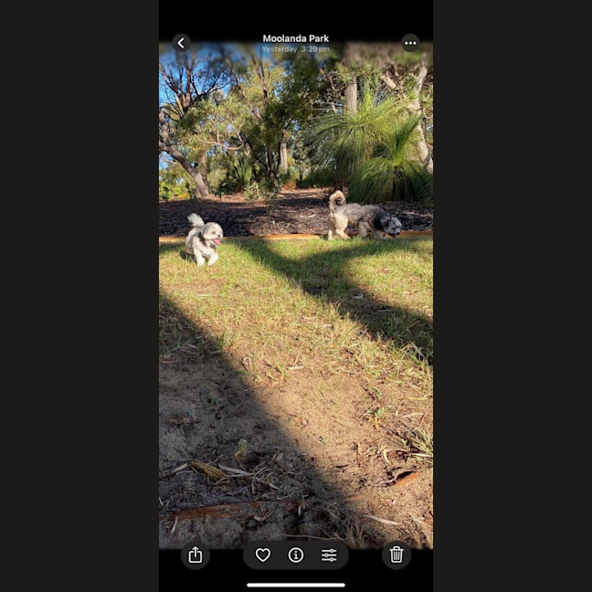 Photo of Belle And Hugo 