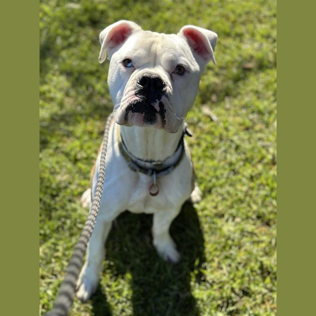 Photo of Thor