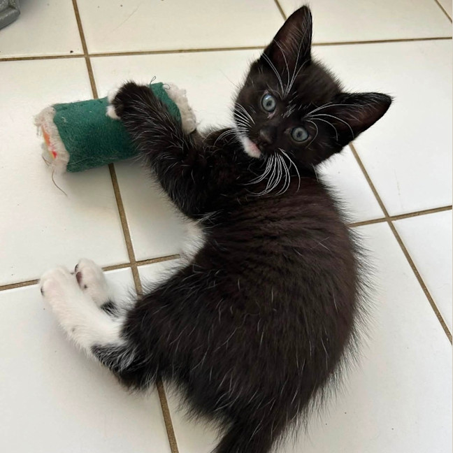 Photo of Kat