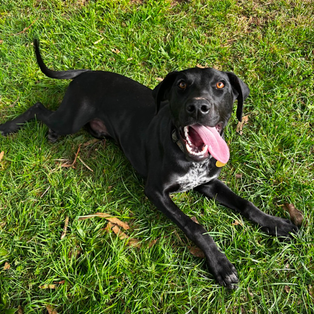 Photo of Silvercool