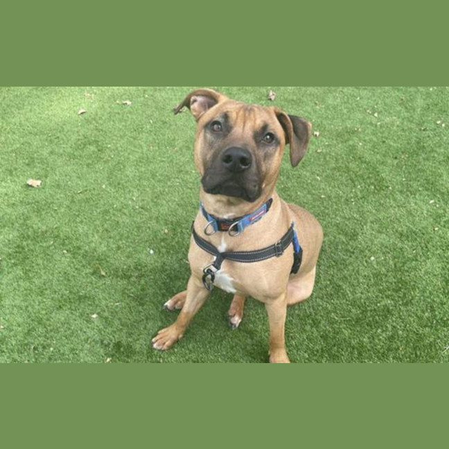 Photo of Ursula