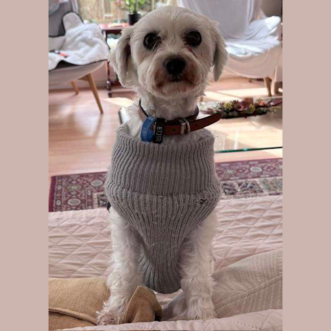 Photo of Sophie