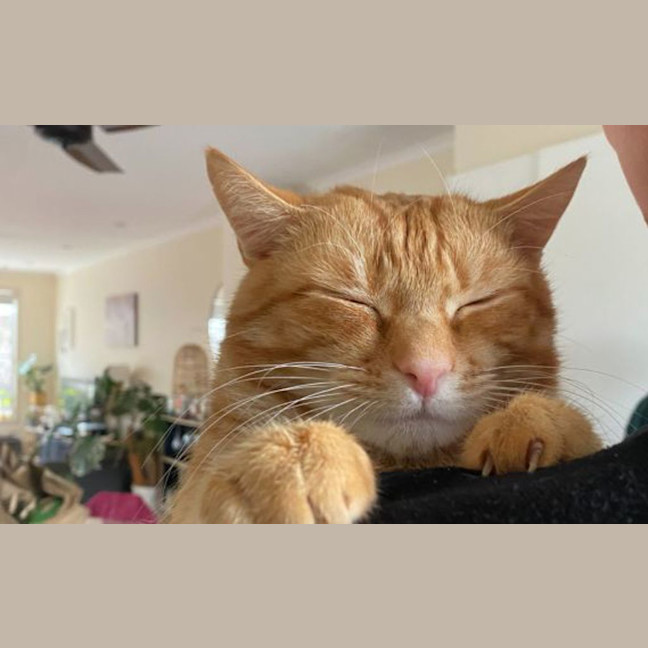 Photo of Alfie