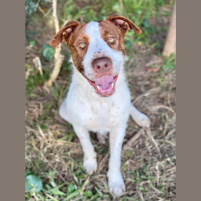 Photo of Tango