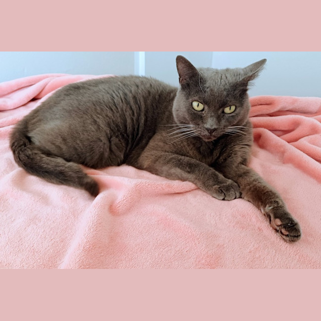 Photo of Alice