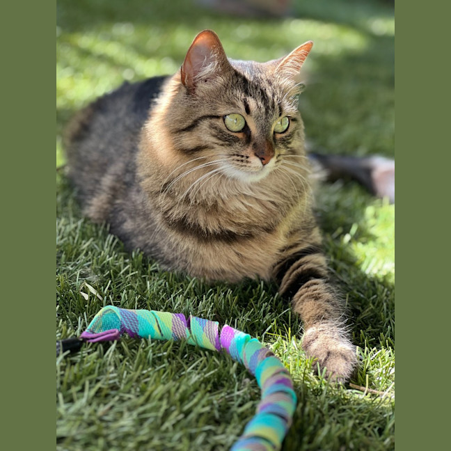 Photo of Lexi & Cara