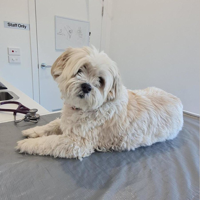 Photo of Molly Quinnell