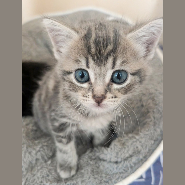 Photo of Libby