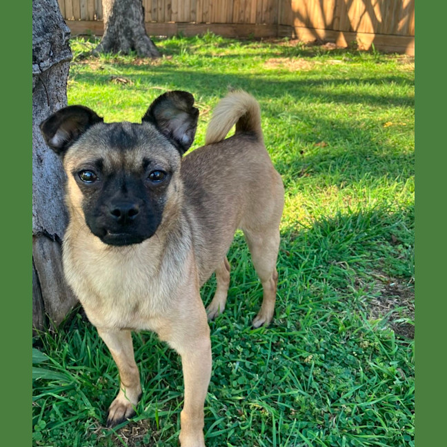 Photo of Minnie 🐭