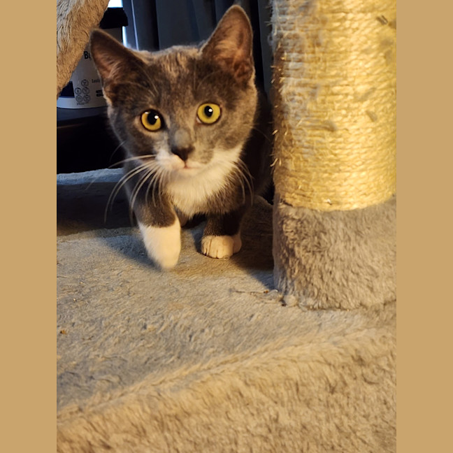 Photo of Stormi