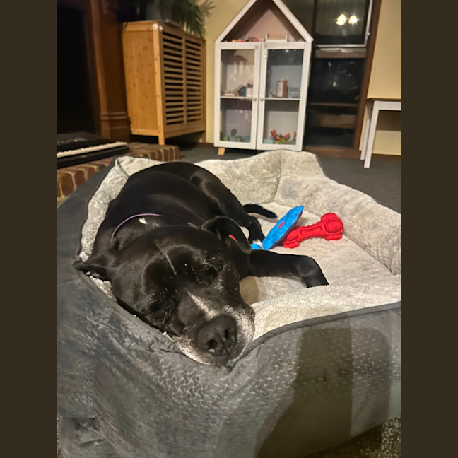 Photo of Drakkus