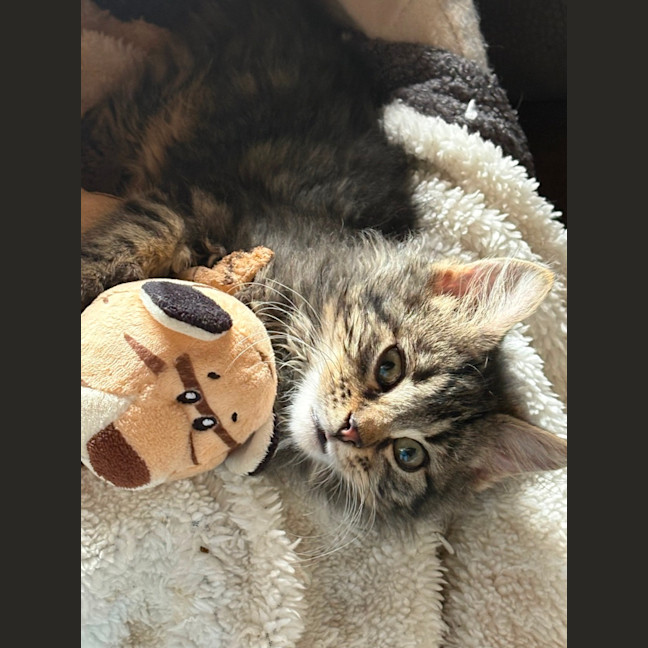 Photo of Larry 😻😻💙💙