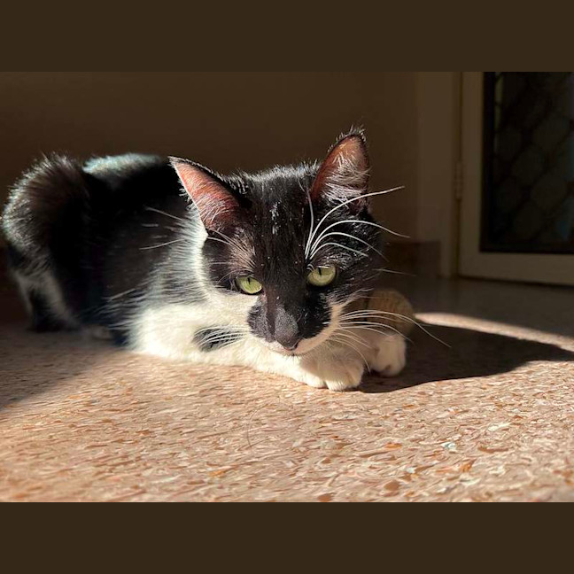 Photo of Katie