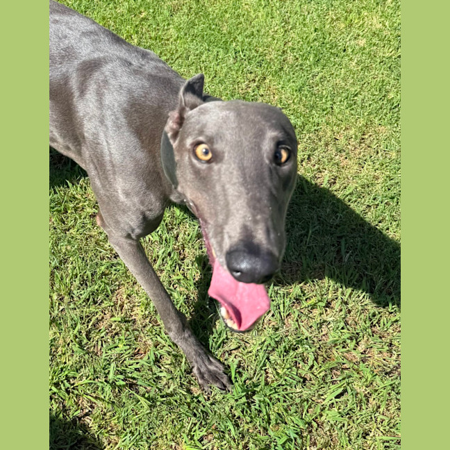 Photo of Wally