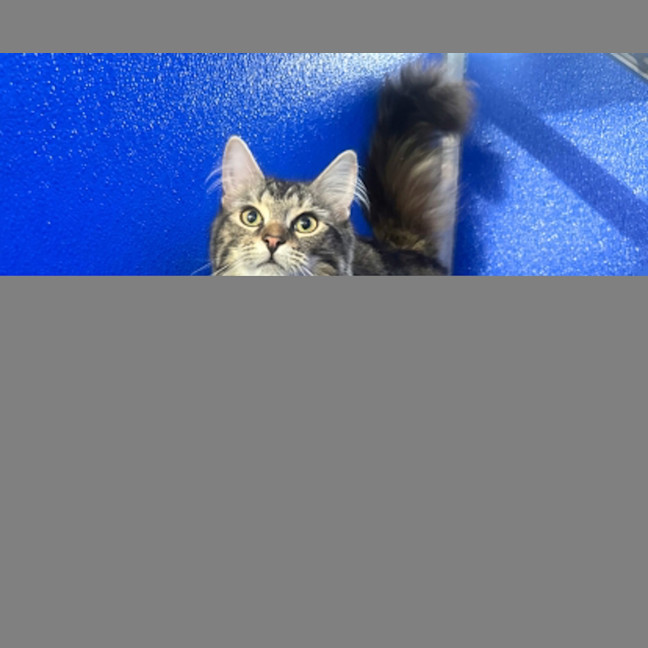 Photo of Holly