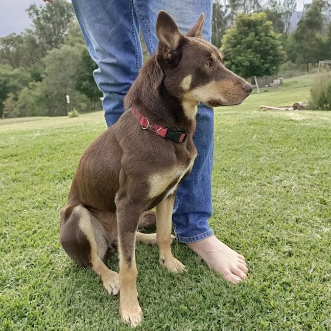 Photo of Kelly