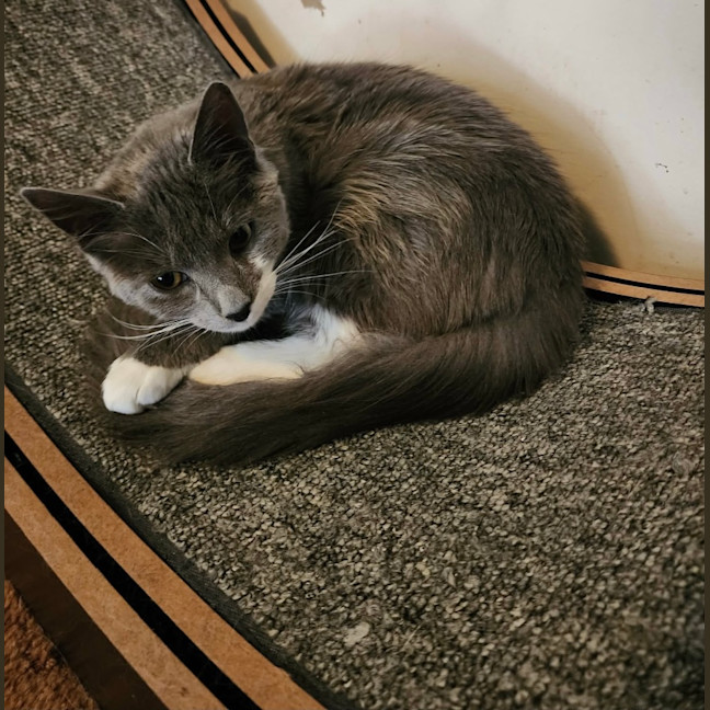Photo of Thomas