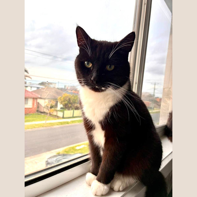 Photo of Marconi