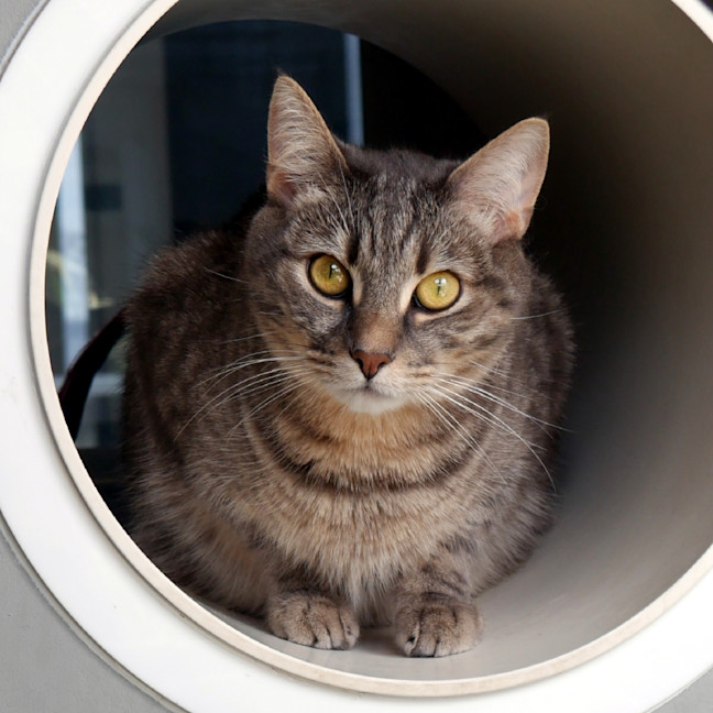 Photo of Dylan Rstk012898