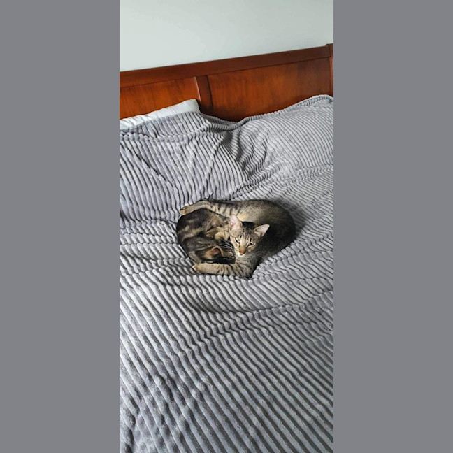Photo of Vinny