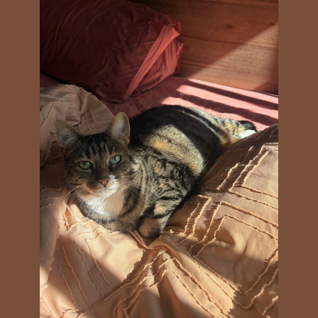 Photo of Lola