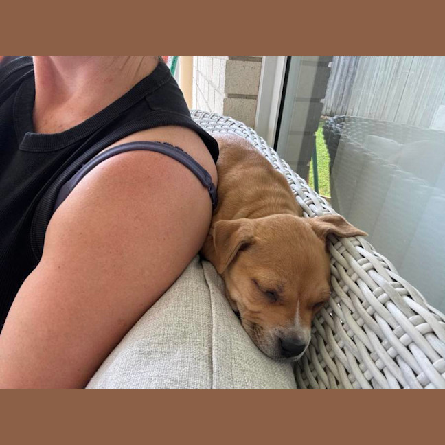 Photo of Rosie