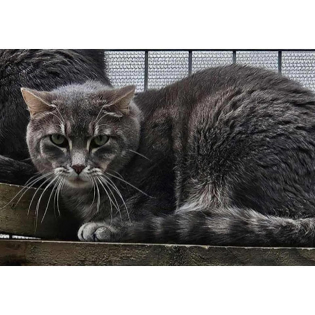 Photo of 11848   Johnny