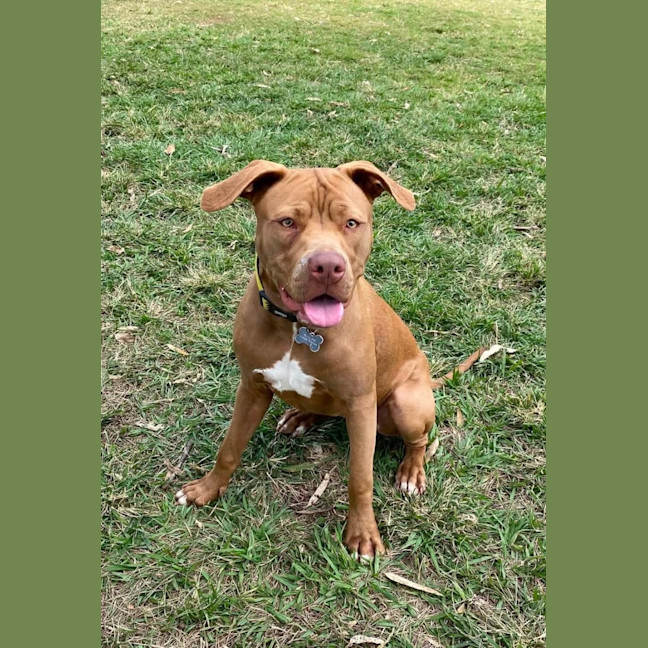 Photo of Tutu