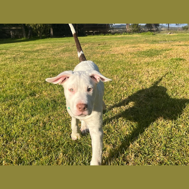 Photo of ❄️ Snowy ❄️