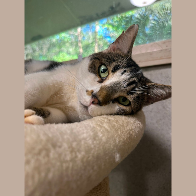 Photo of Charlie