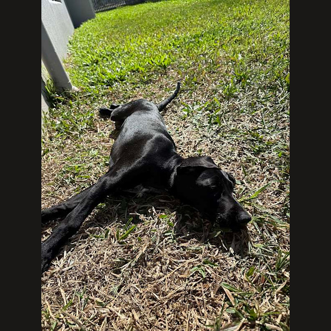 Photo of Lexi