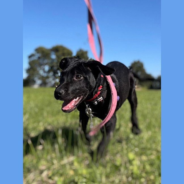 Photo of Hazel
