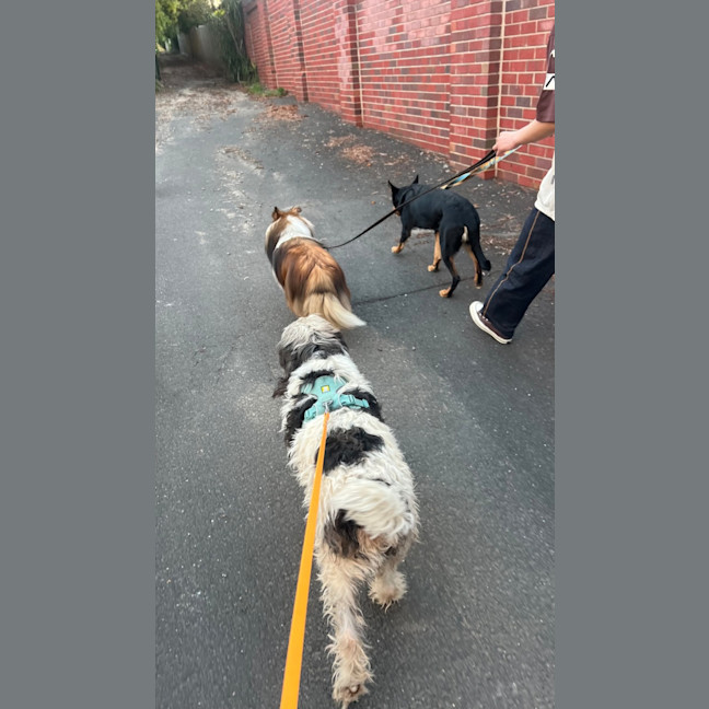 Photo of Lotus Biscoff