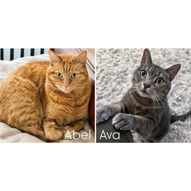 Photo of 14168 & 14167   Abel & Ava