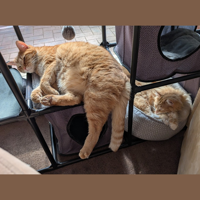 Photo of Jasper
