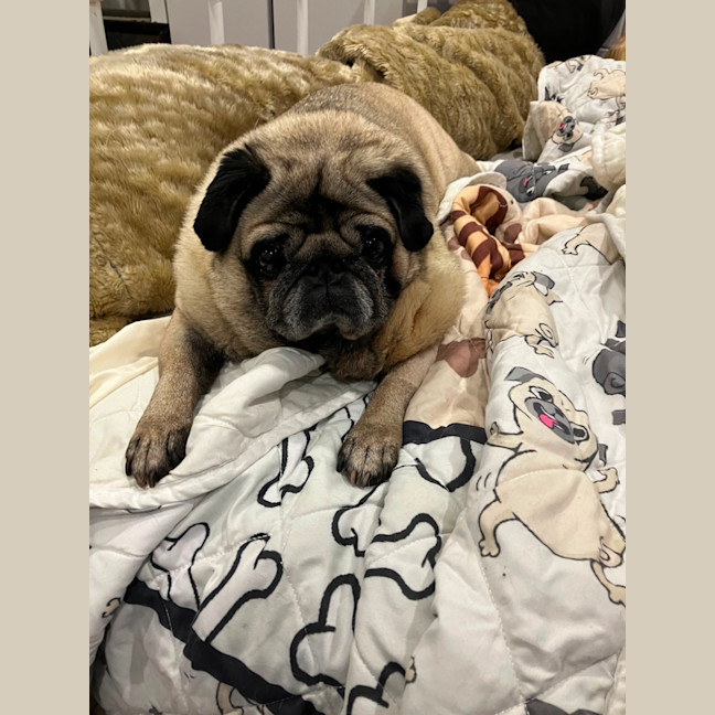 Photo of Essy
