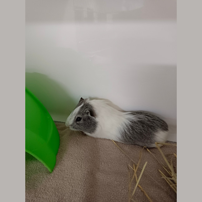 Photo of Fuzz Aldrin