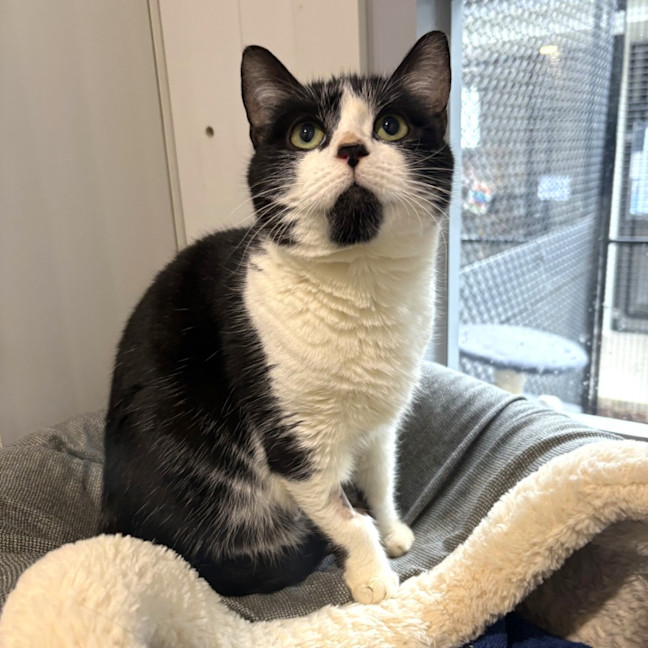 Photo of Delilah