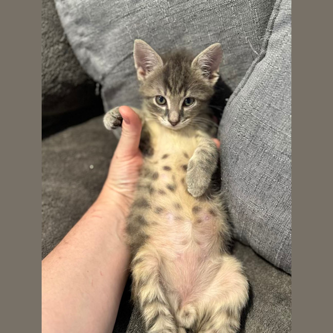 Photo of Freaking Freddie