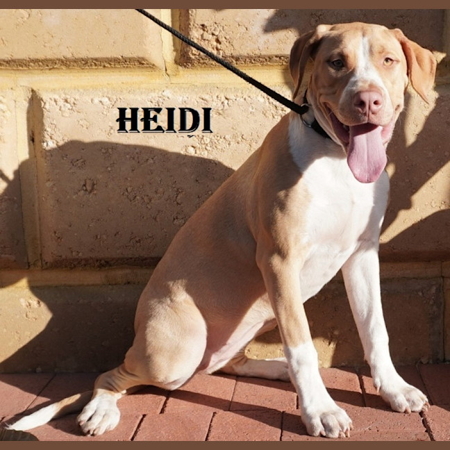 Photo of Heidi