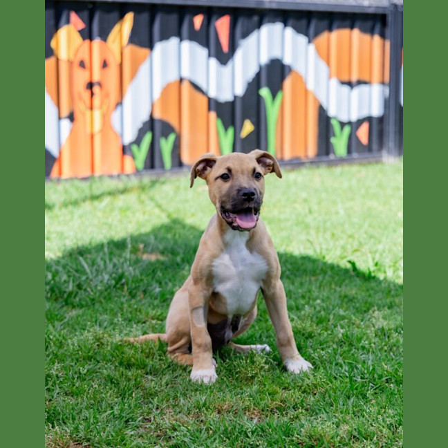 Photo of Jinx