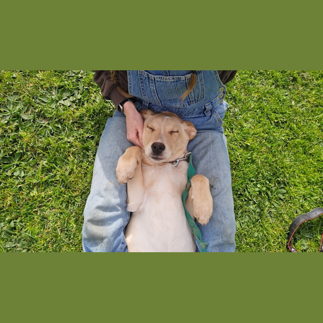 Photo of Muffy