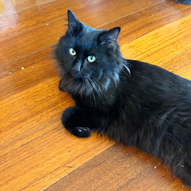 Photo of Gilbert