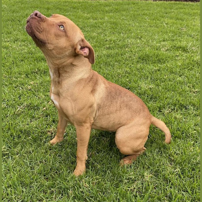 Photo of Lucy