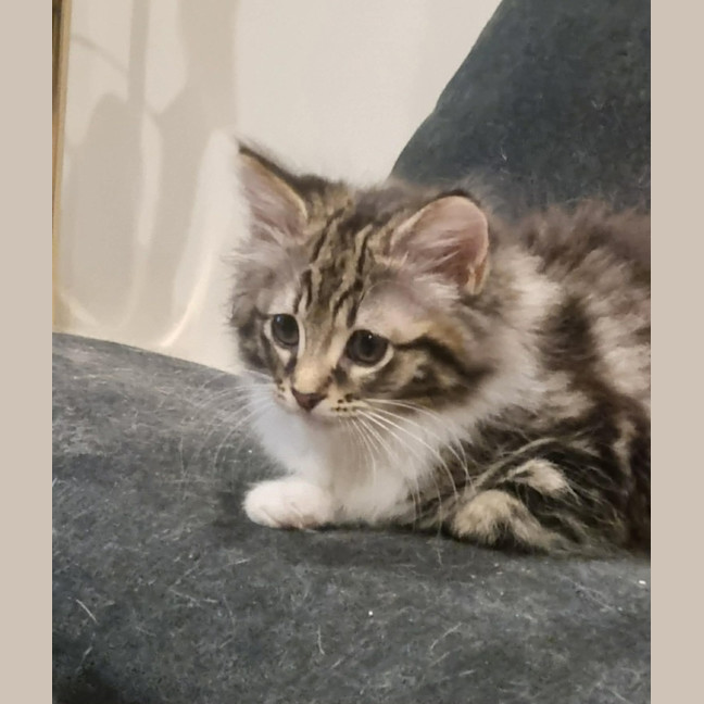 Photo of Betty 