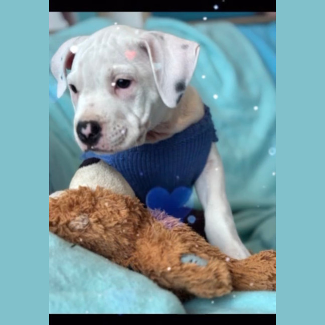 Photo of Cash