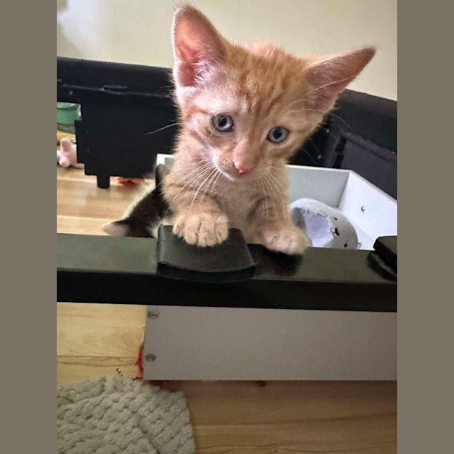 Photo of Gus